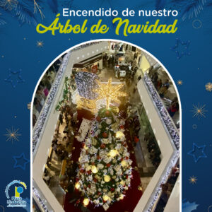 FOTO-ENCENDIDO NAVIDEÑO-PL-15