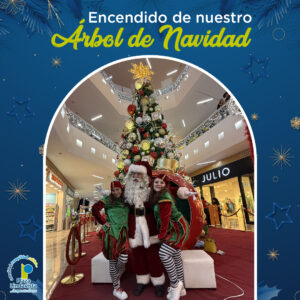 FOTO-ENCENDIDO NAVIDEÑO-PL-21